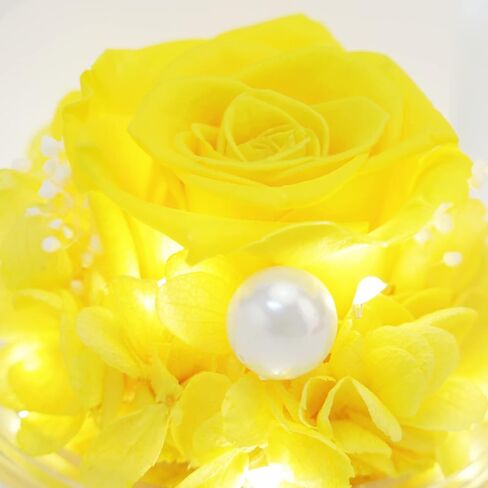 هدايا الورد المحفوظة من سونيا لعيد الأم، هدايا الملاك المصنوعة من زجاج الورد الحقيقي مع قلادة للنساء، تماثيل الملائكة هدايا عيد الميلاد مع ضوء LED لعيد الحب وعيد الشكر وعيد الميلاد in Kuwait