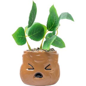 Silver Buffalo Harry Potter Mandrake Face Decorative Artificial Faux Greenery Plant in Ceramic in Kuwait