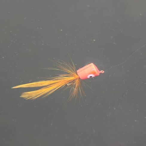 wifreo Fly Fishing Popper Lures for Sunfish Bluegill Crappie Bass Panfish Topwater Popper Fly Fishing/Pack of 10 in Kuwait
