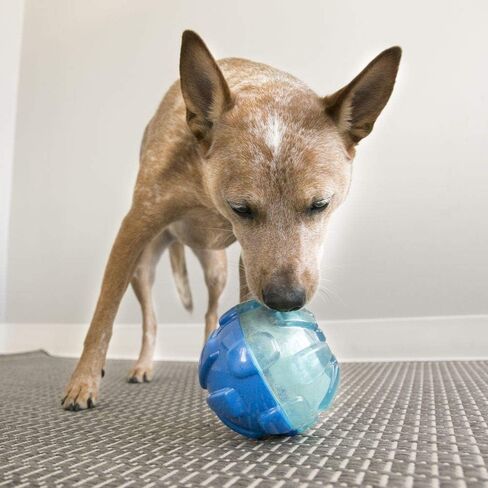 KONG - Rewards Ball - Ultra Durable Interactive Treat Dispensing Dog Toy - for Large Dogs in Saudi Arabia