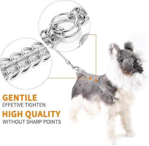 Pettom Martingale Training Chain Dog Collar Metal Slip Pet Choker Collars Chrome Plated Sturdy Rust Proof for Small Medium and Large Dogs in Kuwait