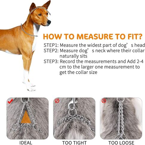 Pettom Martingale Training Chain Dog Collar Metal Slip Pet Choker Collars Chrome Plated Sturdy Rust Proof for Small Medium and Large Dogs in Kuwait