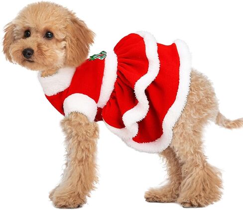 فستان عيد الميلاد للكلاب من DELIFUR - تنورة سانتا كلوز المخملية للجراء، ملابس عيد الميلاد للكلاب والبنات، ملابس شتوية للكلاب الصغيرة والقطط باللون الأحمر (X-Large) in Kuwait