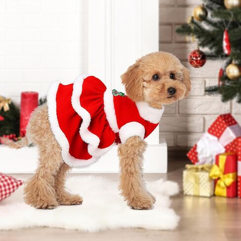 فستان عيد الميلاد للكلاب من DELIFUR - تنورة سانتا كلوز المخملية للجراء، ملابس عيد الميلاد للكلاب والبنات، ملابس شتوية للكلاب الصغيرة والقطط باللون الأحمر (X-Large) in Kuwait