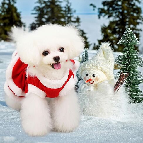 فستان عيد الميلاد للكلاب من DELIFUR - تنورة سانتا كلوز المخملية للجراء، ملابس عيد الميلاد للكلاب والبنات، ملابس شتوية للكلاب الصغيرة والقطط باللون الأحمر (X-Large) in Kuwait