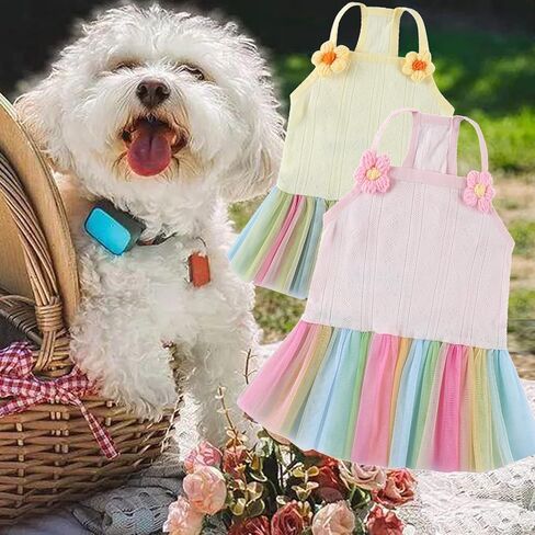 قطعتان من فساتين القطن الصيفية للكلاب فستان الشمس مع قوس قزح تول الجرو تنورة الشاطئ توتو لأعياد الميلاد وحفلات الزفاف وحفلات حمام السباحة والتصوير الفوتوغرافي (وردي أصفر، XL) in Kuwait