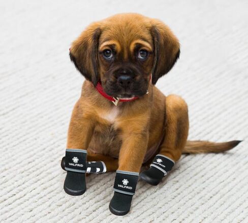 Dog Shoes,Waterproof Dog Rain Boots for Winter Snowy Day,Summer Hot Pavement,Dog Booties for Small Medium Large Dogs,Paw Protector with Reflective Strips Rugged Anti-Slip Rubber Sole Black L in Kuwait