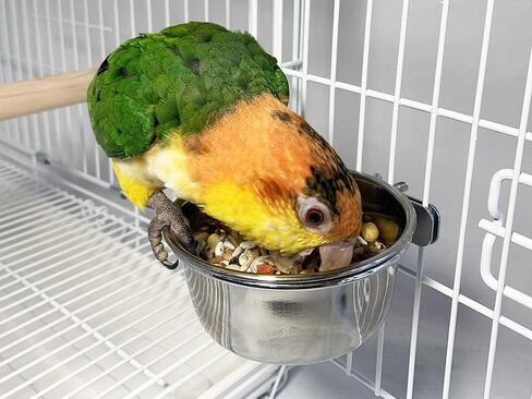 الطيور الحب 2pk الفولاذ المقاوم للصدأ الترباس على قفص حظيرة أكواب للطيور والكلاب والحيوانات الصغيرة طعام الطيور ووعاء الماء، 30 أوقية in Kuwait