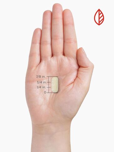 Nature's Reward الجلوكوزامين كوندرويتين قوة ثلاثية - 120 قطعة - مع البوسويليا وميثيل سلفونيل ميثان والكركم - مكمل غير معدل وراثيًا وخالي من الغلوتين in Kuwait