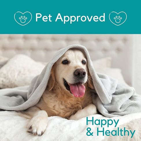 زيت القنب من PB Pets للكلاب والقطط - ينمو عضويًا - صُنع في الولايات المتحدة الأمريكية - يساعد في علاج القلق والورك والمفاصل والألم والتهاب المفاصل والإجهاد - مع مركب أوميغا in Saudi Arabia