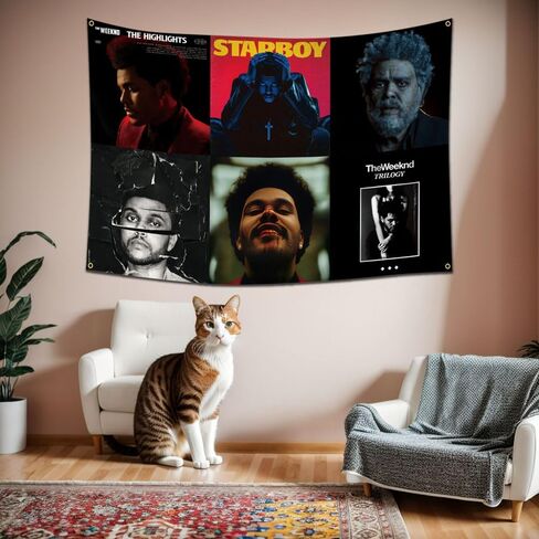 هوكيدو نسيج ويكند نسيج 40X60 بوصة ألبوم الموسيقى ملصق جدار معلق نسيج العلم in Kuwait