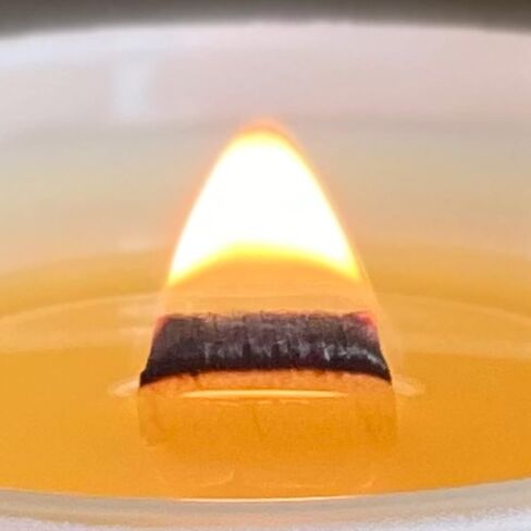 Fraser Fir Wood Wick Candles That Crackle, 14 ounce Matte White Jar, Our Signature Fragrance Smells Like Real Pine Scent! Vegan, Soy, Non Toxic. Hand-Crafted in USA. in Saudi Arabia