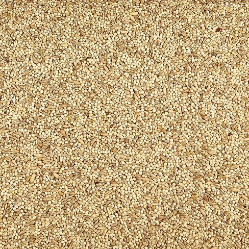 Kaytee Supreme Bird Food For Parakeets, 2-Lb Bag in Saudi Arabia