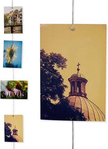 Flushbay 2 حزمة سلك كابل حبل الصور المغناطيسي 1.5 متر / سلك بما في ذلك 8 مغناطيسات صورة بطاقة بريدية معلقة سلك سلسلة عرض الحائط حامل صور للتعليق العمودي (مغناطيس نقي) in Kuwait