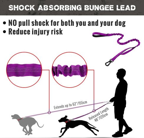 مقود الكلاب التكتيكي من بلوتوس مع مشبك حلقة تسلق، نايلون عاكس مع مقبضين مبطنين، مقود بنجي للكلاب للسلالات المتوسطة والكبيرة، أسود in Kuwait