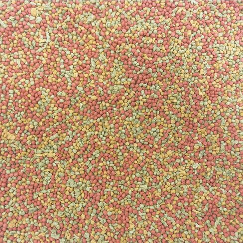 Higgins Intune Complete and Balanced Diet Fruit Extruded Parakeet Bird Food in Saudi Arabia