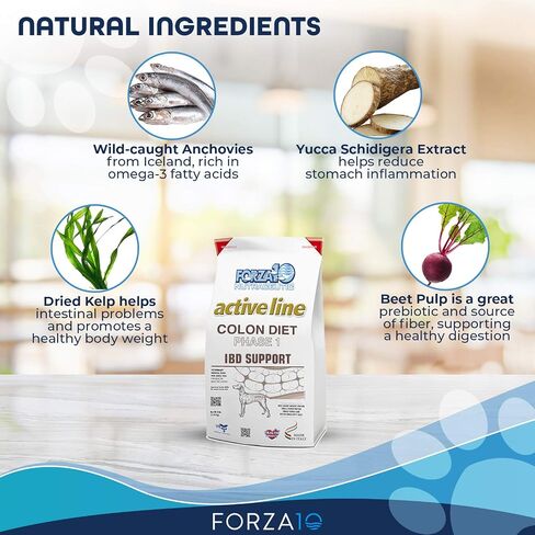 Forza10 Active Colon Support Diet Phase 1 Hydrolyzed Dog Food, Dry Dog Food Helps Dogs with Diarrhea, Colitis and Constipation, Wild Caught Anchovy Protein Flavor, 8 Pound Bag in Kuwait