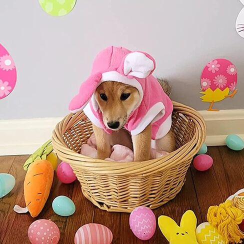 زي أرنب عيد الفصح من ديليفور، معطف كلب رائع على شكل أرنب للحيوانات الأليفة للكلاب الصغيرة والقطط (S) in Kuwait