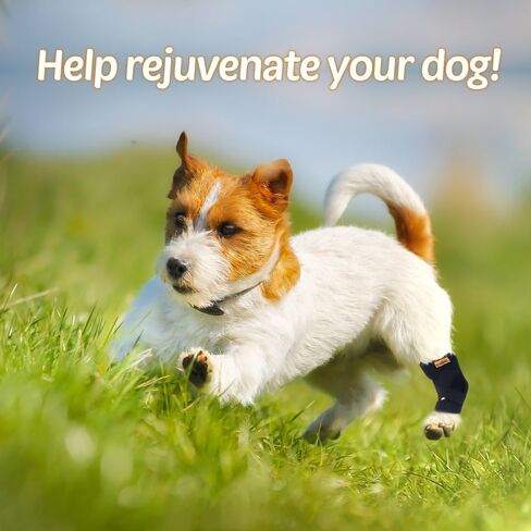 COMFPET دعامة ساق الكلب للعرقوب الخلفي، غلاف دعم ساق الكلب مع شرائط معدنية، كم تدفئة ساق الكلب لمنع لعق، والالتواء الكلب، والتهاب المفاصل، ACL، متوسط in Kuwait