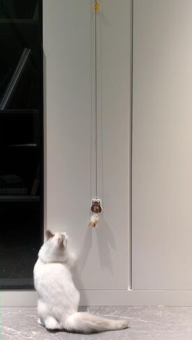 Fashion's Talk Cat Toy Interactive Hanging Door Cat Teaser Kitten Toys 80" 4-Pack Cats Toys Feather Toys with Catnip Ball Animal Exercise, Mental Physical Stimulation in Kuwait