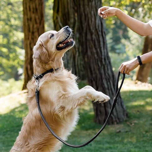 CollarDirect Rolled Leather Dog Leash 6ft, Soft Training Leather Dog Leash for Puppy and Grown Dog Small Medium Large Black Blue Red Orange Green Pink White (Brown, Size S 6ft) in Saudi Arabia