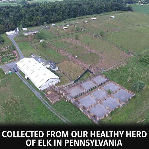 مختبر الصيد في الهواء الطلق بول البقرة إلك شبق - بول البقرة إلك شبق للصيد - مزيل رائع للرائحة البشرية للصيادين - طعم بول الأيائل النقي والطازج - يجب أن يكون له رائحة إلك البقر للصيد in Kuwait