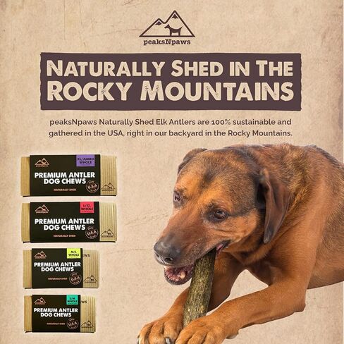 PeaksNpaws قرون الأيائل الفاخرة من الدرجة الأولى الطبيعية للكلاب بدون إضافات أو مواد حافظة - صنع في الولايات المتحدة الأمريكية (كبير/XL) in Kuwait