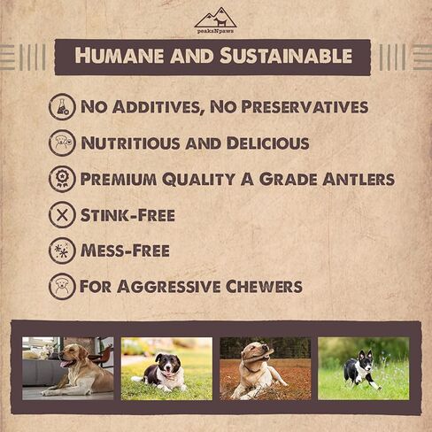PeaksNpaws قرون الأيائل الفاخرة من الدرجة الأولى الطبيعية للكلاب بدون إضافات أو مواد حافظة - صنع في الولايات المتحدة الأمريكية (كبير/XL) in Kuwait