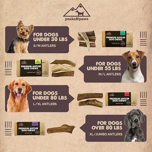 PeaksNpaws قرون الأيائل الفاخرة من الدرجة الأولى الطبيعية للكلاب بدون إضافات أو مواد حافظة - صنع في الولايات المتحدة الأمريكية (كبير/XL) in Kuwait