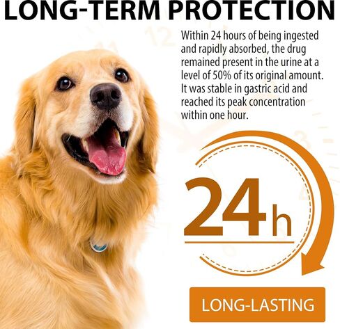 كيرسيتين للكلاب | كيرسيتين مع فيتامين سي للكلاب | كيرسيتين لحساسية الكلاب | كلب كيرسيتين | مكمل كيرسيتين للكلاب | دعم نظام المناعة المتوازن | 60 مل 2.02 أونصة سائلة in Kuwait