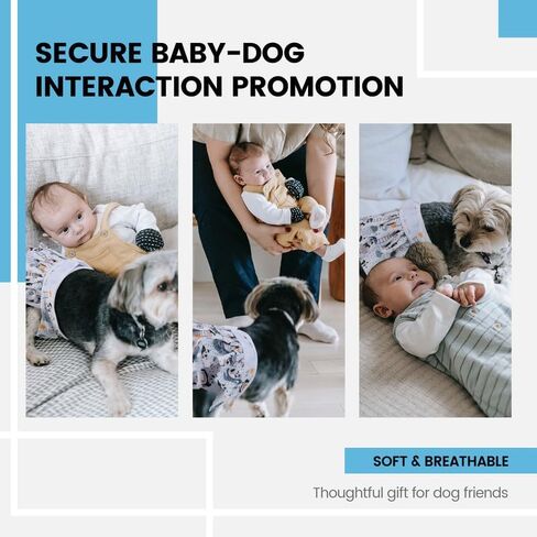 حزمة واحدة من حفاضات الكلاب النسائية القابلة للغسل وإعادة الاستخدام من Furryilla، سلسلة فواكه حفاضات للكلاب عالية الامتصاص للكلاب التي تعاني من الحرارة أو سلس البول أو التبول المثير (أقحوان صغيرة مقاس L) in Kuwait