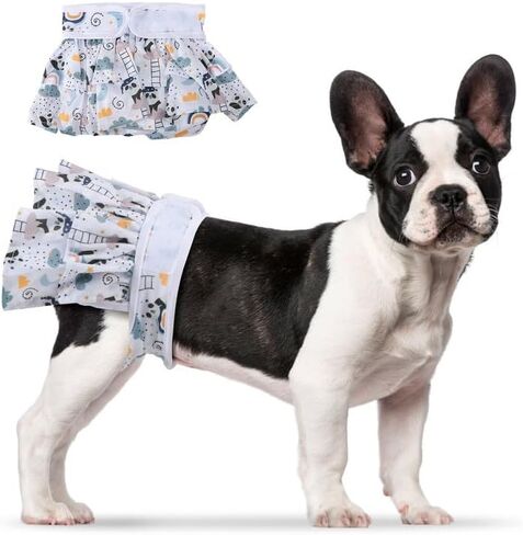 حزمة واحدة من حفاضات الكلاب النسائية القابلة للغسل وإعادة الاستخدام من Furryilla، سلسلة فواكه حفاضات للكلاب عالية الامتصاص للكلاب التي تعاني من الحرارة أو سلس البول أو التبول المثير (أقحوان صغيرة مقاس L) in Kuwait