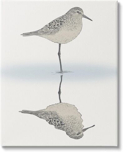 Stupell Industries Soothing Sandpiper Bird Standing Ocean Shoreline Reflection Canvas Wall Art, Design By Ziwei Li in Kuwait