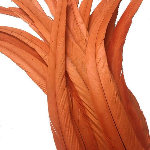 Shekyeon 12-14inch Rooster Tail Feather Used Hats Costume Decoration Pack of 50 in Saudi Arabia