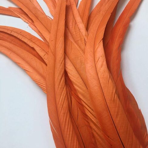Shekyeon 12-14inch Rooster Tail Feather Used Hats Costume Decoration Pack of 50 in Saudi Arabia