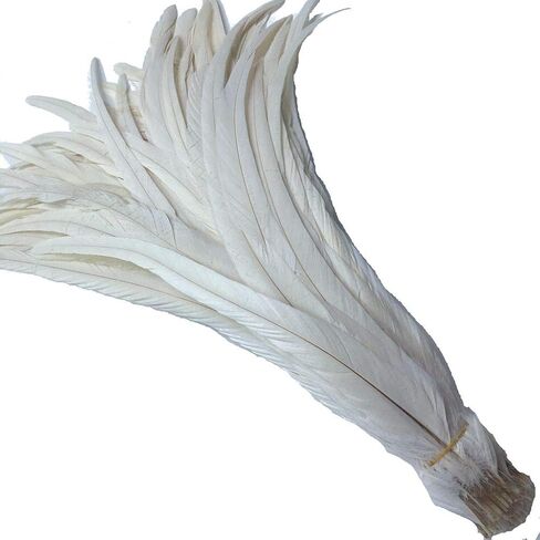 Shekyeon 12-14inch Rooster Tail Feather Used Hats Costume Decoration Pack of 50 in Saudi Arabia
