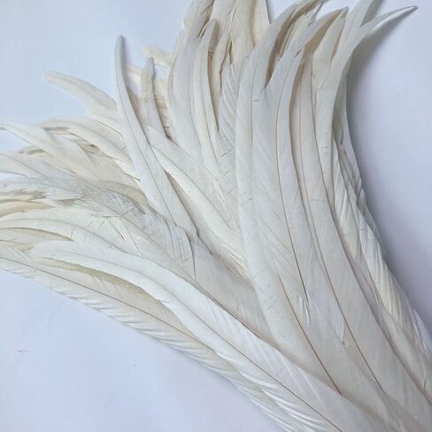 Shekyeon 12-14inch Rooster Tail Feather Used Hats Costume Decoration Pack of 50 in Saudi Arabia