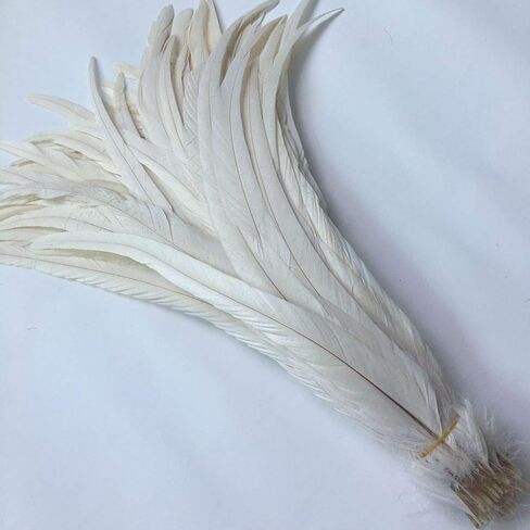 Shekyeon 12-14inch Rooster Tail Feather Used Hats Costume Decoration Pack of 50 in Saudi Arabia