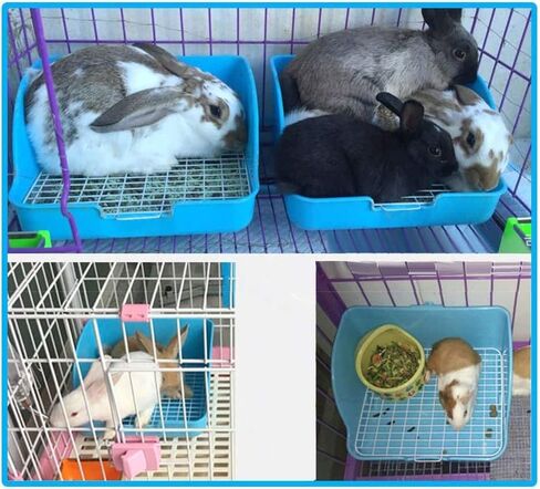 Pet Small Rat Toilet, Square Potty Trainer Corner Litter Bedding Box Pet Pan for Small Animal/Rabbit/Guinea Pig/galesaur/Ferret (White) in Saudi Arabia