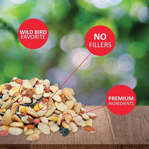 Lyric Fruit and Nut Wild Bird Seed - High Energy Wild Bird Food Mix - Attracts Woodpeckers, Chickadees & Other Songbirds - 5 lb bag in Kuwait