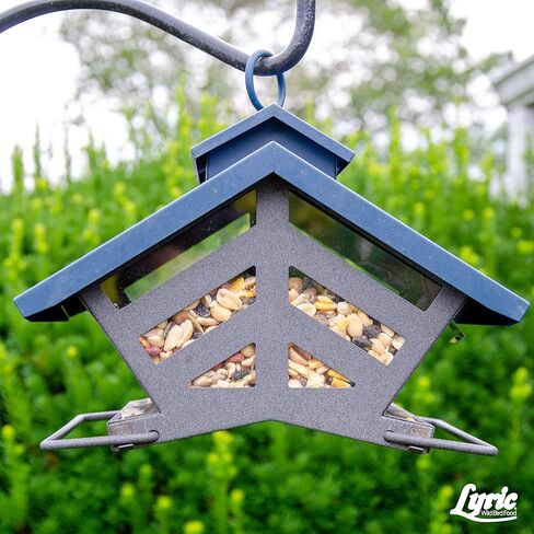 Lyric Fruit and Nut Wild Bird Seed - High Energy Wild Bird Food Mix - Attracts Woodpeckers, Chickadees & Other Songbirds - 5 lb bag in Kuwait