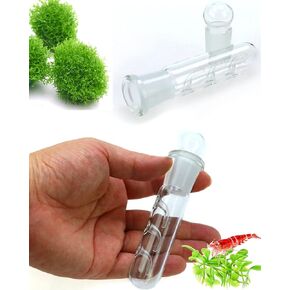 Planaria Trap for Crystal Red Shrimp Tank - Aquarium Bristle Worm Catcher, Cherry Shrimp Dwarf Shrimp Ghost Shrimp Live Freshwater Cleaning Supplies - Clear Glass Leeches Catching Tube (2 Holes) in Kuwait