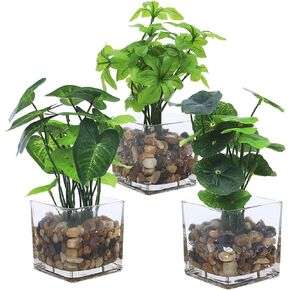 Jusdreen Artificial Potted Plants，Faux Tabletop Greenery with Clear Glass Pots and Cobblestones for Home Office Décor 3 Piece Set