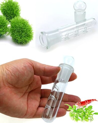 Planaria Trap for Crystal Red Shrimp Tank - Aquarium Bristle Worm Catcher, Cherry Shrimp Dwarf Shrimp Ghost Shrimp Live Freshwater Cleaning Supplies - Clear Glass Leeches Catching Tube (2 Holes) in Kuwait