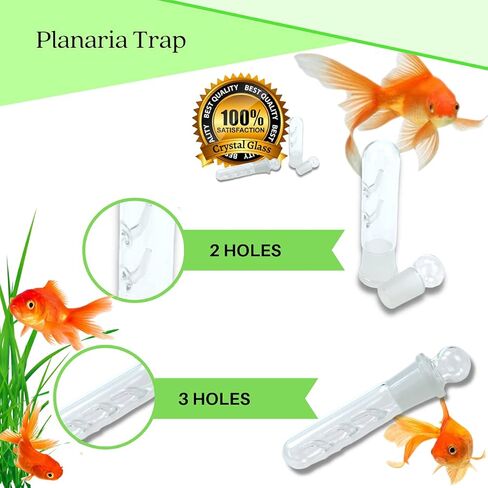 Planaria Trap for Crystal Red Shrimp Tank - Aquarium Bristle Worm Catcher, Cherry Shrimp Dwarf Shrimp Ghost Shrimp Live Freshwater Cleaning Supplies - Clear Glass Leeches Catching Tube (2 Holes) in Kuwait