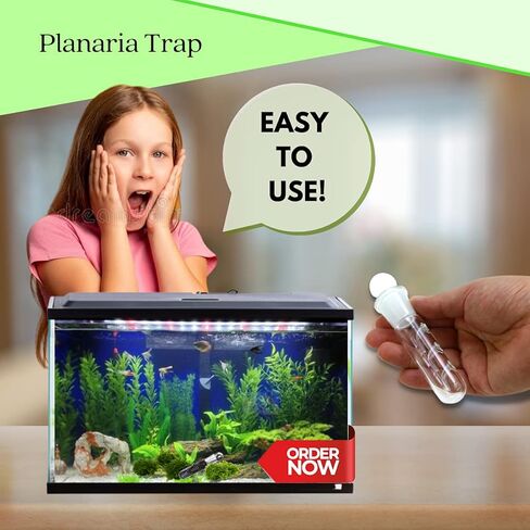 Planaria Trap for Crystal Red Shrimp Tank - Aquarium Bristle Worm Catcher, Cherry Shrimp Dwarf Shrimp Ghost Shrimp Live Freshwater Cleaning Supplies - Clear Glass Leeches Catching Tube (2 Holes) in Kuwait