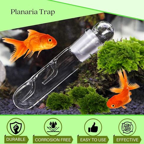 Planaria Trap for Crystal Red Shrimp Tank - Aquarium Bristle Worm Catcher, Cherry Shrimp Dwarf Shrimp Ghost Shrimp Live Freshwater Cleaning Supplies - Clear Glass Leeches Catching Tube (2 Holes) in Kuwait