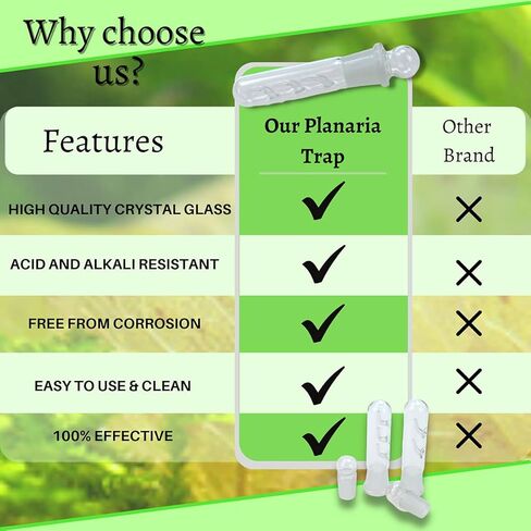 Planaria Trap for Crystal Red Shrimp Tank - Aquarium Bristle Worm Catcher, Cherry Shrimp Dwarf Shrimp Ghost Shrimp Live Freshwater Cleaning Supplies - Clear Glass Leeches Catching Tube (2 Holes) in Kuwait