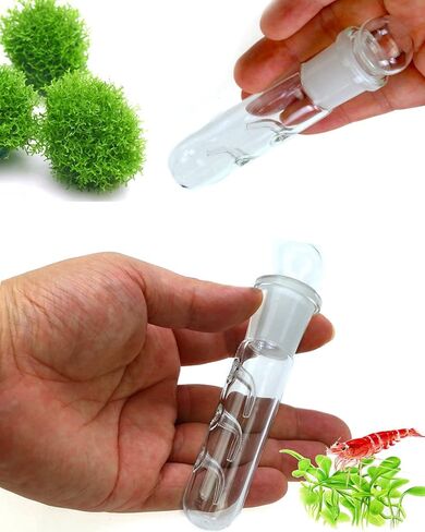 Planaria Trap for Crystal Red Shrimp Tank - Aquarium Bristle Worm Catcher, Cherry Shrimp Dwarf Shrimp Ghost Shrimp Live Freshwater Cleaning Supplies - Clear Glass Leeches Catching Tube (2 Holes) in Kuwait