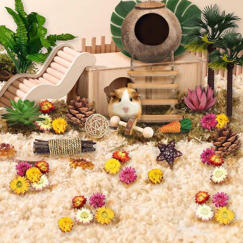 الهامستر مضغ اللعب مجموعة ألعاب الهامستر الخشبية الطبيعية جوز الهند الهامستر البيت النباتات الاصطناعية الزهور المجففة الأسنان ألعاب الحيوانات الصغيرة قفص المناظر الطبيعية لشنشيلاس غينيا الخنازير الحيوانات الأليفة الفئران (نمط 01) in Kuwait